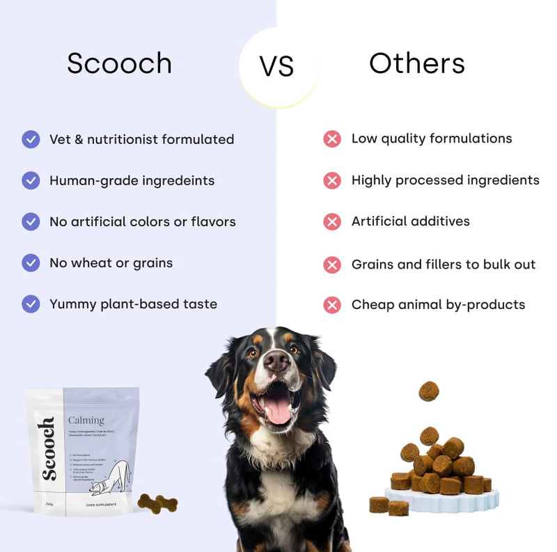 Scooch Calming Dog Treats – The Calming Chew Fussy Dogs Actually Eat | Helps Support Calm for Fireworks, Travel & Time Alone | with Ashwagandha, Valerian, Hemp & Chamomile | 60 Chews
