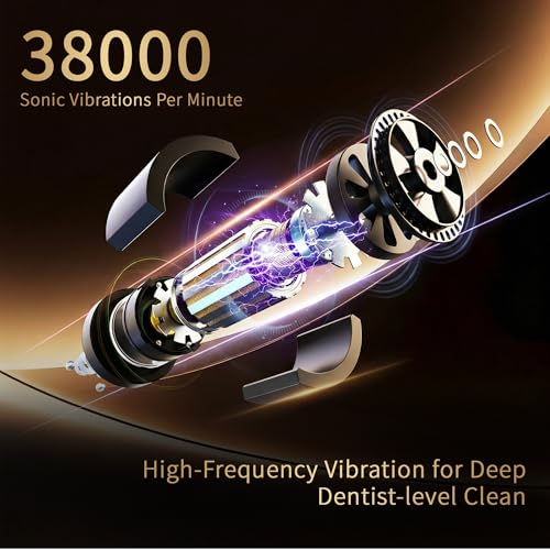Sonic Electric Toothbrush with Bamboo Heads Black