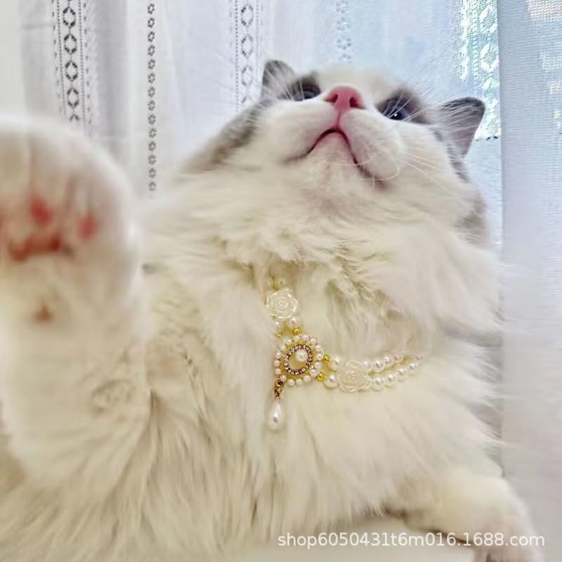 Cat and Dog Collar A Vintage Pearl for Pets, Elegant Decoration for Cats and Dogs (S) Small - BeesActive Australia