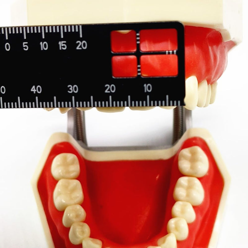 Dental Precision Measuring Ruler Medical Tool Span Measure Scale Endodontic Instruments Dentistry for Photography and Dentistry