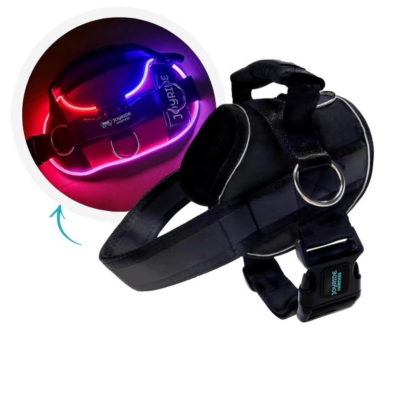 Joyride Harness LED Light Up Dog Harness 2.0 - Patent Pending Design, 3 LED Modes, Vibrant Rechargeable Lighting, Customizable Name Tag Area, and Convenient On/Off Button for Enhanced Pet Safety Large Black - BeesActive Australia