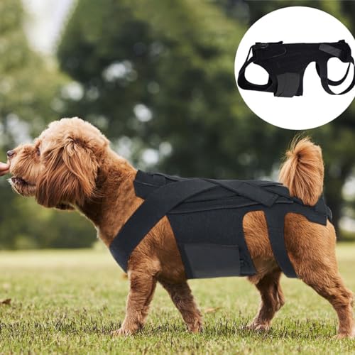 Luqeeg Dog Back Bracer for Spinal Surgery Recovery, Herniated Disc, Arthritis - Adjustable Support with Gentle Pressure, Comfortable &, Ideal for Dogs, (M)