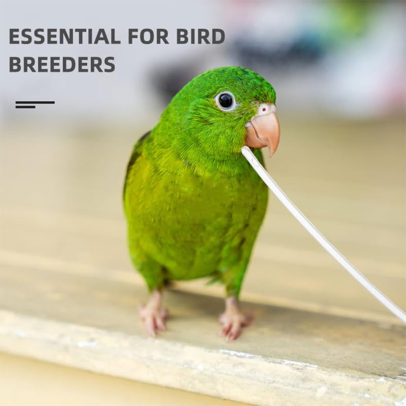 balacoo 100pcs Parrot Feeding Tube Soft Hose Replacement Heads for Birds Feeder Parrot Hand Feeder Bird for Cage