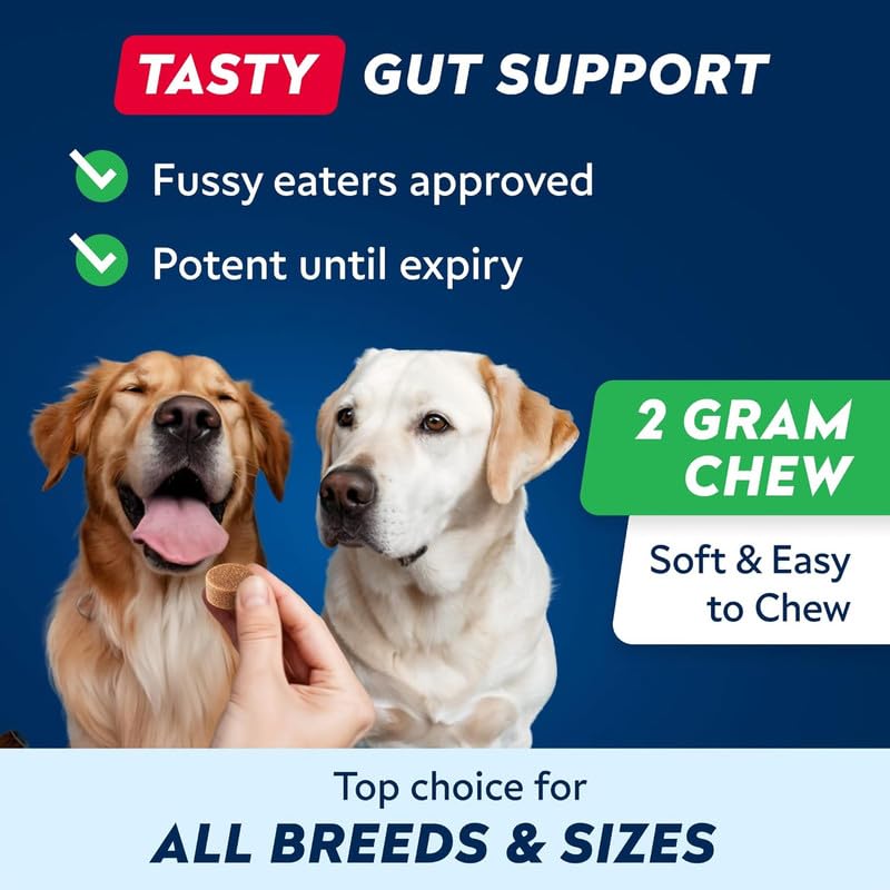 STRELLALAB Dog Probiotics for Gut Health & Digestive Enzymes Fiber Supplement - Anti Diarrhea, Constipation, Upset Stomach, Gas Relief - Digestion Treats Chews - 60 Count (Pack of 1) Peanut Butter