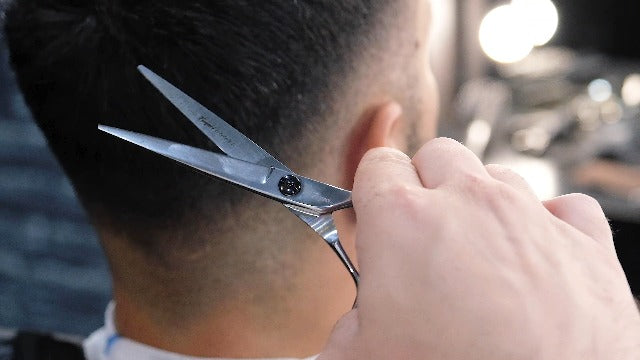 Fagaci Hair Cutting Scissors 6", Professional Hair Shears with Sharp Blades 6"