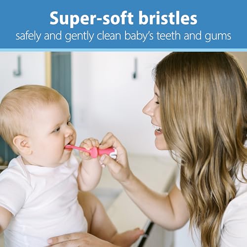 Dr. Brown's Infant-to-Toddler Toothbrush, Elephant, Pink, 0-3 Years, 1 Count (Pack of 12) 1 Count (Pack of 12)