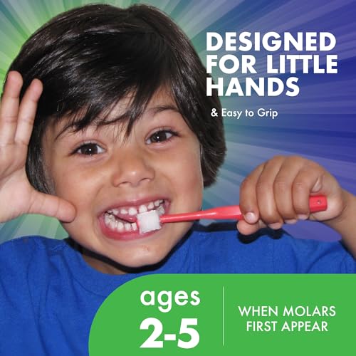 Brilliant Oral Care Bundle; Pack of 3 Child Toothbrush- Pink Lime Lilac & Pack of 1 Kids Toothbrush - Purple with Soft Bristles Round Head