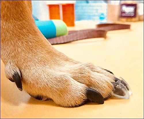 TAKTIKAL Dr. McHenry's Dog Toe Treads, Set of 24, Adhesive, Cleaning Brush, Increased Traction, Mobility Support, Large Kit- Weight: 40-60 lbs. Net Weight 1.6 oz. Large Kit - Weight: 40-60 lbs