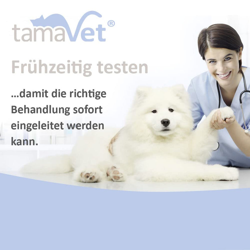 tamaVet 5X Giardia rapid test for dogs and cats - Immediate certainty about your animal's health in the event of diarrhea and intestinal parasites - For detecting Giardia antigens in animal feces 5 pieces (pack of 1) - BeesActive Australia