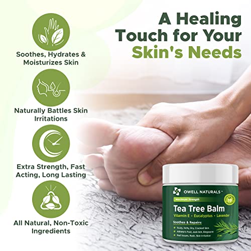 Owell Naturals Tea Tree Antifungal Balm – Extra Strength for Athlete’s Foot, Jock Itch, Ringworm & Skin Fungus – Soothing for Itchy, Dry, Cracked Skin, Feet & Body, 2 oz 2 Fl Oz (Pack of 1)