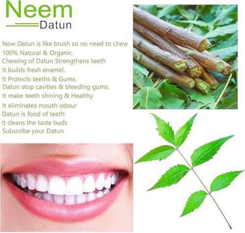 Traditional Ayurvedic Sun Dried Neem Twigs, Natural Datun Chew Sticks, Vacuum Packed Wooden Brushing Sticks, Manual Tooth Cleaning Alternative, 7-8 Inch, Pack of 10 + 1 Free