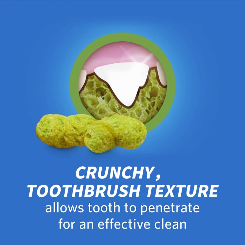 Cat Grass Dental Crunchy Treats, Natural Tasty Dental Care Snacks for Cats, Healthy Teeth Cleaning & Freshen Breath - BeesActive Australia