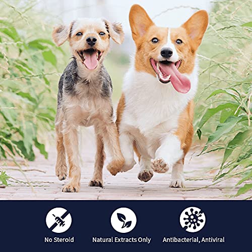 MucoMax, Oral Wound Care Gel for Dogs and Cats, 0.35oz. Safe and Easy Care with 100% Natural Ingredients. Treats Oral Wound and Inflammation. - BeesActive Australia