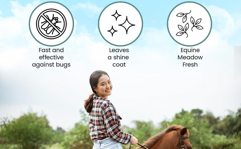 Natural Horse Fly Repellent Spray - 500ml | Citronella-Based Formula | Eco-Friendly | Ideal for Stables, Rugs & Bedding and Clothing Personal Protection 500ml (1 Pack)