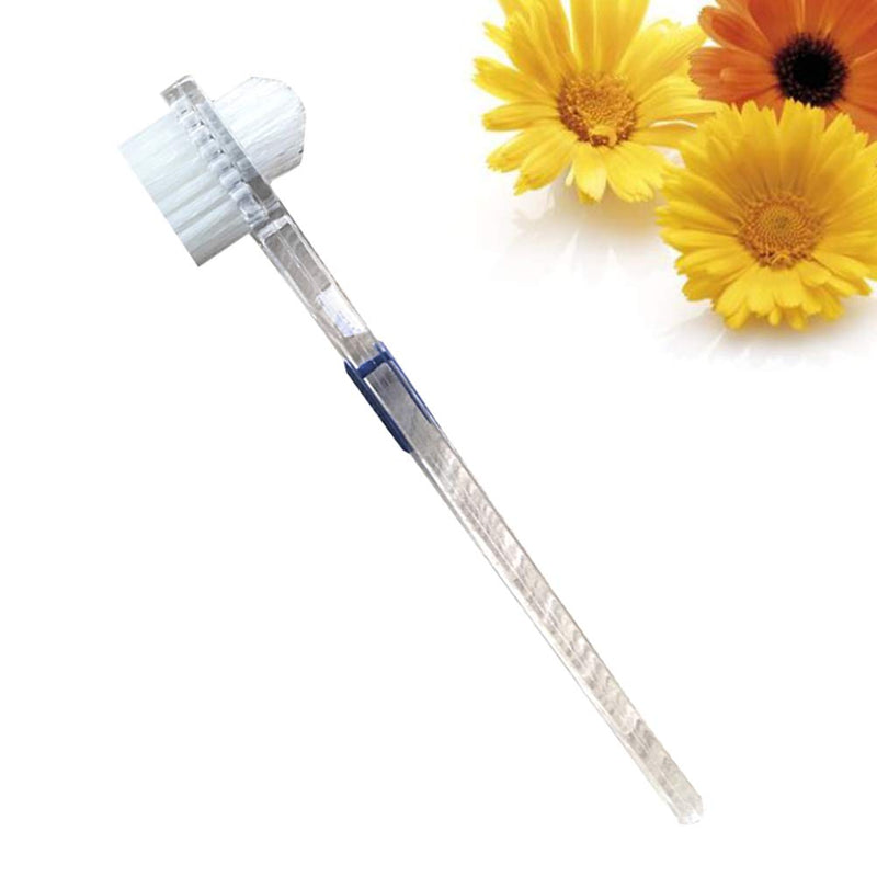 Healifty Denture Brush Transparent Denture Brush False Teeth Cleaning Brush Double-Sided Toothbrush Artificial Teeth Cleaning Tool - BeesActive Australia
