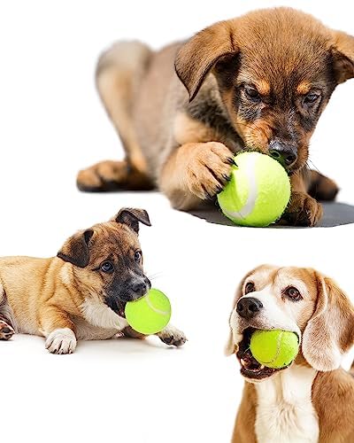 2-Inch Tennis Ball Throwing Refill for Automatic Ball Launcher,Mini Tennis Balls Interactive Dog Toys Pet Ball Suitable for Small Dogs Indoor Outdoor Thrower Machine BLUE