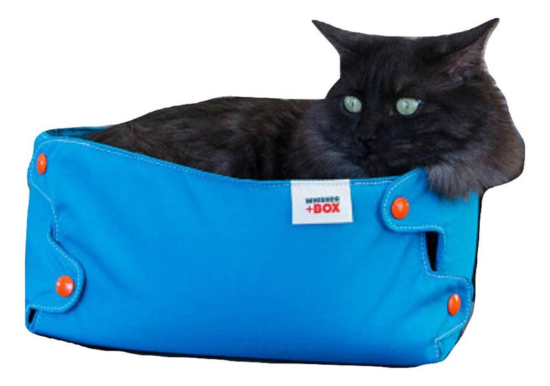 Cat Compression Box Charcoal - BeesActive Australia