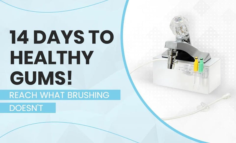 Oral Breeze | HydroCare | Water Flosser | Dental Flosser | Teeth Cleaner | Oral Irrigator | 3' Hose - BeesActive Australia