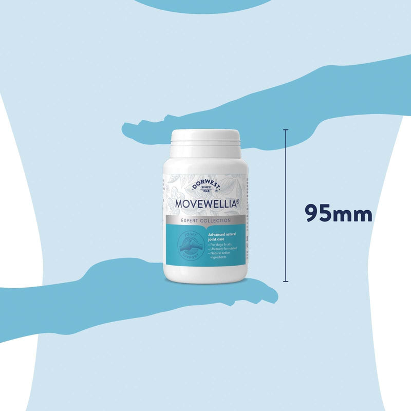 Dorwest Herbs MoveWellia Joint Care Supplement for Dogs and Cats - 100 Tablets - Natural Dog Supplements for Joint Discomfort with Boswellia, Chondroitin, Glucosamine and Celery Seed