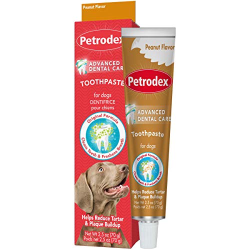 Petrodex Toothpaste for Dogs & Puppies, Cleans Teeth and Fights Bad Breath, Reduces Plaque and_Tartar Formation, Enzymatic Toothpaste, Peanut Flavor, 2.5oz (Pack of 2) 2.5 Ounce (Pack of 2)