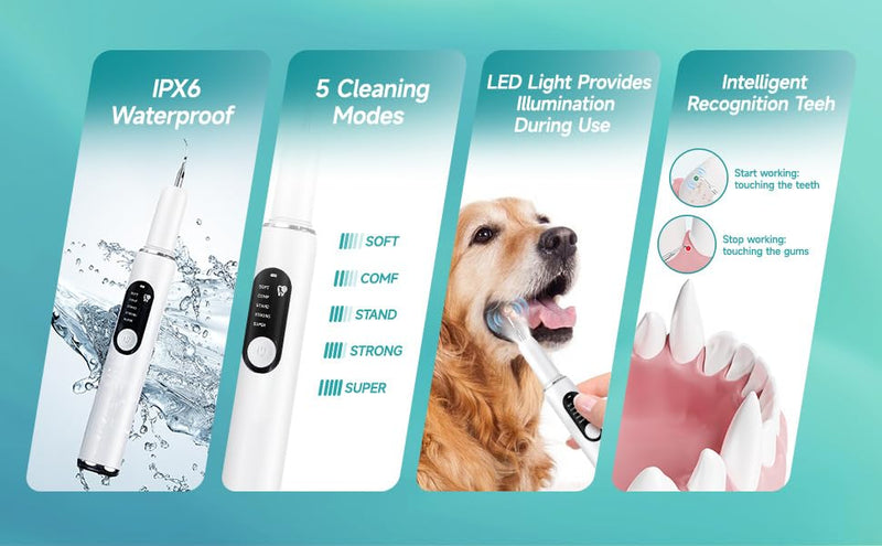 BRAVECOW Pet Plaque Remover Kit, Dog & Cat Dental Tool for Tartar Removal with LED Light, Teeth Cleaning Brush
