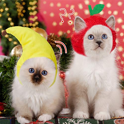 Weewooday 5 Pieces Cat Hat Cat Costume Outfit Bunny Hat with Ears Funny Cat Hat for Cats and Small Dogs Kitten Puppy Party Christmas Costume Accessory Headwear(Cute Style) Cute Style - BeesActive Australia