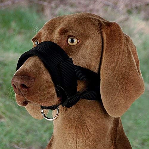 Trixie 19282 mouth loop, nylon, XL, black - BeesActive Australia