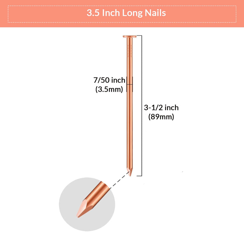BHTOP 3.5 Inch Copper Nails Pack of 24 - Pure Copper Nail, Solid Reliable Used for Trees, Stumps, Landscaping, and Hobbies - BeesActive Australia