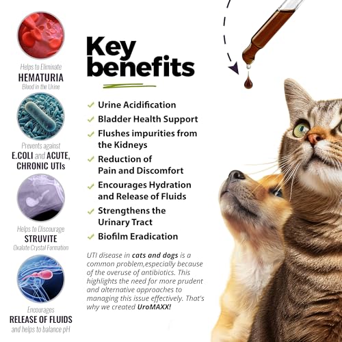 UroMAXX Urinary Tract Support Liquid for Dogs & Cats, Chicken, 6 oz 1 Pack