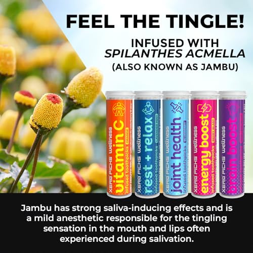 Xero Picks Wellness Flavored Toothpicks - Brain Boost, Immunity, Rest & Relax, Joint Health, and Energy Boost - 100 Picks (Variety, 5 Pack) Kosher - Sugar Free VARIETY 100 Count (Pack of 1)