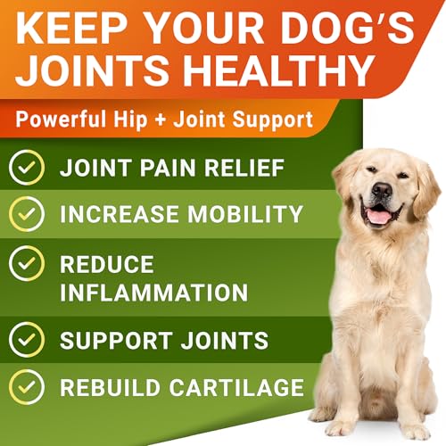 Advanced Joint Hemp Chews for Dogs Mobility - Hip & Joint Pain Relief Chews (HIP&JOINT) Hemp Chews 180Ct (Chicken)