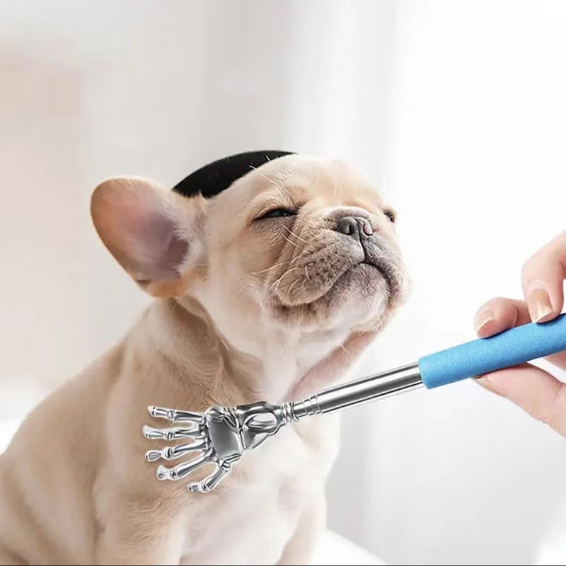 2 Pcs Cat Telescopic Teaser Wand Retractable Scratch Comb Tickle Scratcher Handy Interactive Play Toy for Cats Dogs (Random Color) Mixed - BeesActive Australia