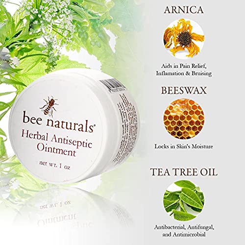 Herbal Antiseptic Ointment - Calendula, Arnica & Comfrey Oil for Minor Cuts & Scratches - Antibiotic-Free- Healing- good for cuts,scrapes, bruises, bites - Bee Naturals