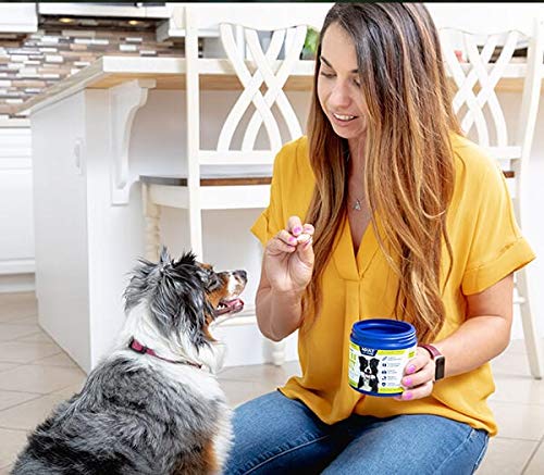 Vetericyn All-in 1 Multifunctional Dog Supplement | Digestive Enzymes + Glucosamine and Chondroitin for Bone and Joint Support + Vitamins, Antioxidants, Prebiotics, Probiotics, and Omegas. 90 Count Adult - PawsPlanet Australia