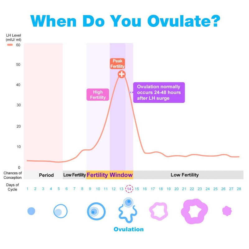 Easy@Home Ovulation Test Strips, 25 Pack Fertility Tests, Ovulation Predictor Kit, Powered by Premom Ovulation Predictor iOS and Android App, 25 LH Strips 25 Count (Pack of 1) - BeesActive Australia