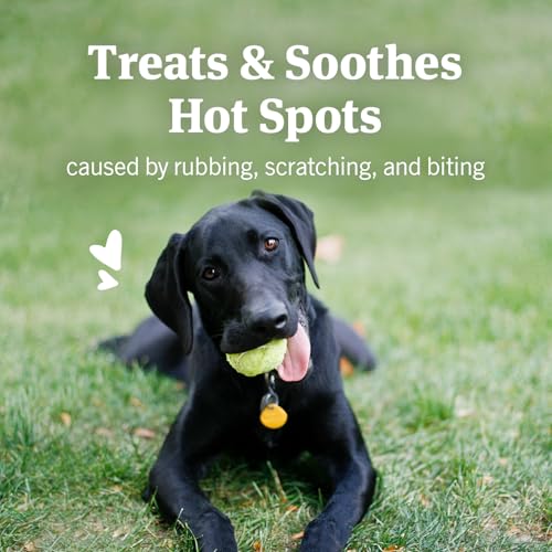 PetArmor Hot Spot Skin Remedy for Dogs, 4 oz