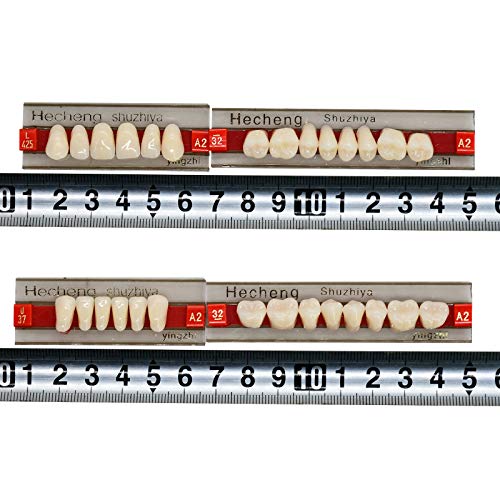 84 Pcs Dental Complete Acrylic Resin Denture False Teeth 3 Sets Synthetic Polymer Resin Denture Teeth 23 Shade A2 Upper + Lower Dental Materials