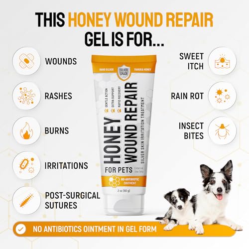 SILVER GRADE Dog Wound Care with Manuka Honey & Colloidal Silver for Scratches & Skin Irritations – Cat & Dog Hot Spot Treatment Gel Works as Honey Rapid Wound Repair for Horses – for All Pets – 2-Oz Honey Gel for Pets