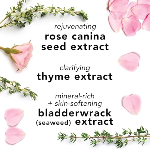 Mario Badescu Facial Spray with Aloe, Herbs and Rose Water for All Skin Types, Face Mist that Hydrates, Rejuvenates & Clarifies 4 Fl Oz (Pack of 2)