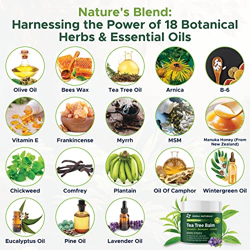 Owell Naturals Tea Tree Antifungal Balm – Extra Strength for Athlete’s Foot, Jock Itch, Ringworm & Skin Fungus – Soothing for Itchy, Dry, Cracked Skin, Feet & Body, 2 oz 2 Fl Oz (Pack of 1)
