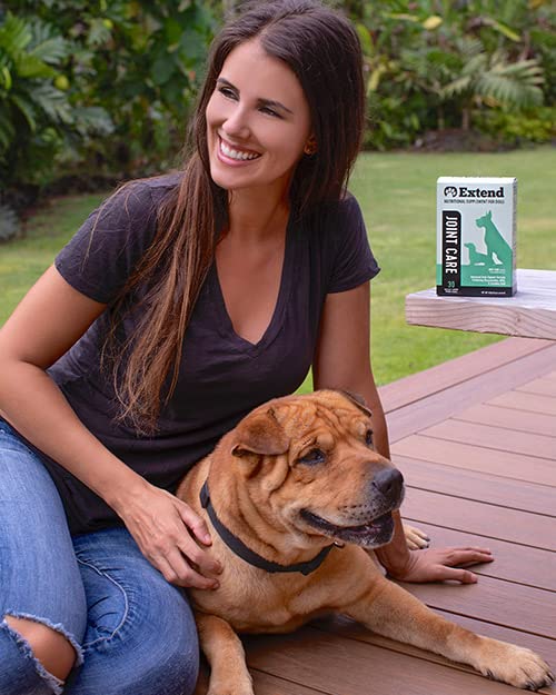 Extend Joint Care for Dogs - BeesActive Australia