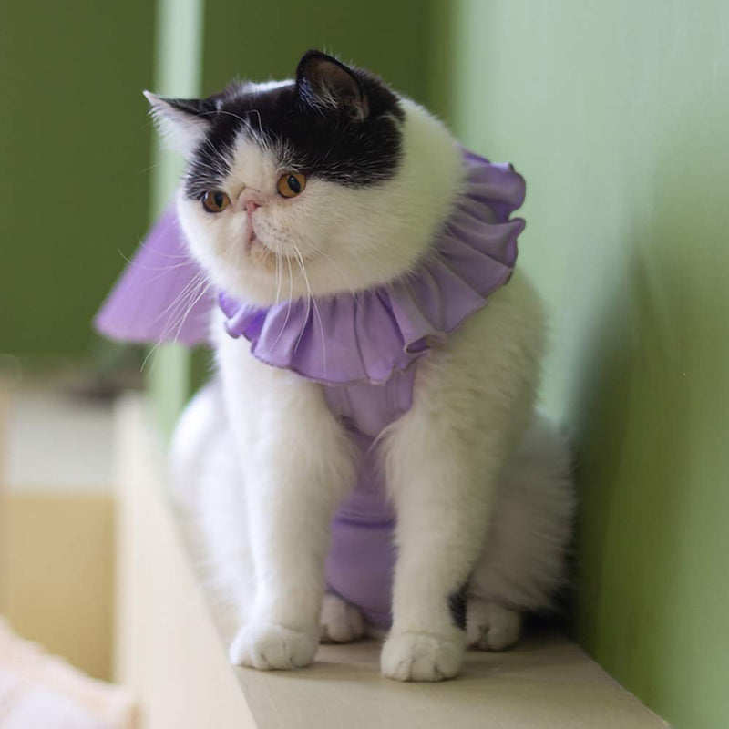 Cat Recovery Suit for Abdominal Wounds and Skin Diseases,Breathable Surgical Recovery Shirt After Surgery Wear Anti Licking Wounds,E-Collar Alternative for Female Cats Kitten(RSC01-purple-m) Medium purple - BeesActive Australia