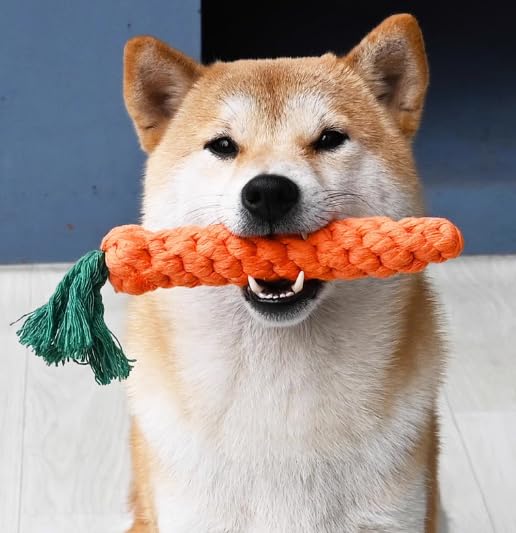Vaulted Skulls & Co Carrot Dog Toy Small 5" | Carrot Shaped Dog Toy | Teething Carrot Dog Toy | Small Dog Carrot Toy | Biting Carrot Dog Toy | 5 Inches 1 Pack - BeesActive Australia
