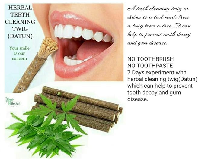 Traditional Ayurvedic Neem Datun Sticks, Natural Neem Twigs for Manual Tooth Cleaning, Wooden Chew Sticks, Traditional Toothbrush Alternative, 6-8 Inch, Pack of 10 with 1 Pcs Free