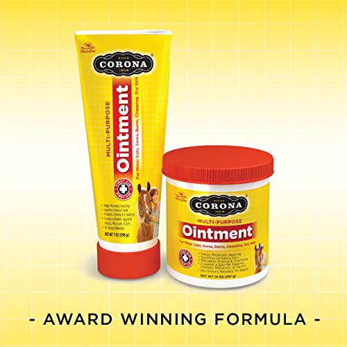 Manna Pro Corona Ointment for Horses | Lanolin-Based Formula Helps Sooth Irritation | 14 Ounces 14 Ounce (Pack of 1)