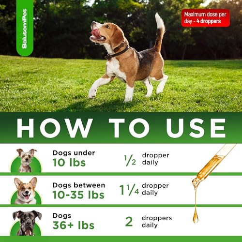 Natural Antibiotics for Dogs and Puppies – Antibiotics for Dogs of All Ages – Herbal Ingredients – Helps with Allergies and UTIs – for Balanced Digestion – Joint Care – Bacon Taste – 2 Oz 2 Fl Oz