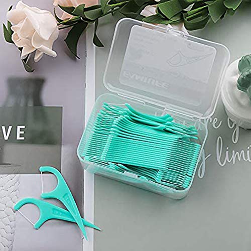 FAMILIFE Floss Picks, 240 Count Mint Dental Floss Picks with 4 Travel Handy Cases and 200 Count Unflavored Dental Floss Picks with 4 Travel Handy Cases