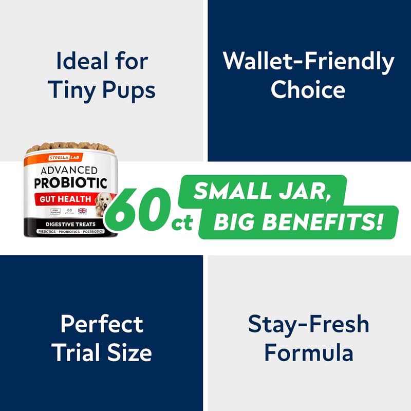 STRELLALAB Dog Probiotics for Gut Health & Digestive Enzymes Fiber Supplement - Anti Diarrhea, Constipation, Upset Stomach, Gas Relief - Digestion Treats Chews - 60 Count (Pack of 1) Chicken