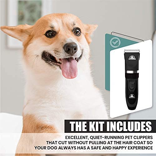Pet Union Professional Dog Grooming Kit - Cordless Low Noise Dog Clippers for Grooming Thick Coats - All Pet Safe Cat Hair Trimmer - Pet Grooming Kit Includes Dog Hair Clippers, Nail Trimmer & Shears Gunmetal - BeesActive Australia