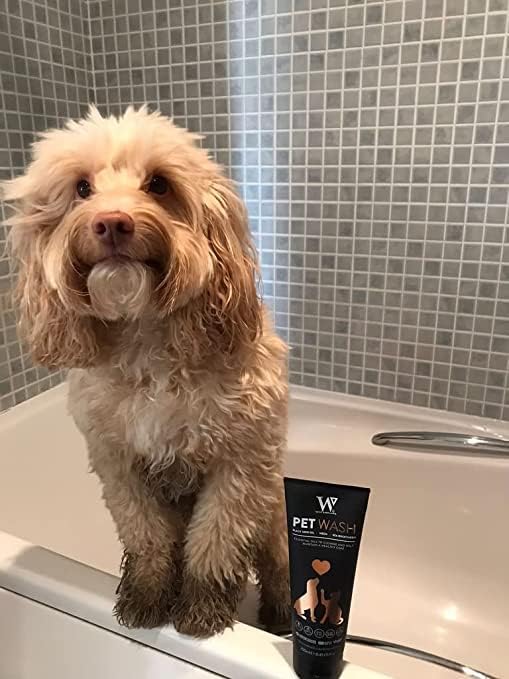 Watermans Cat & Dog Shampoo Wash - Antifungal, Natural & Antibacterial Head-to-Tail Wash - Bubble Grooming for Smelly, Itchy Skin, Dandruff & Pet Allergies - Paraben-Free & Deodorizing - PawsPlanet Australia